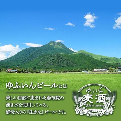 ゆふいんビール　ヴァイツェン淡色タイプ　330ml×20本