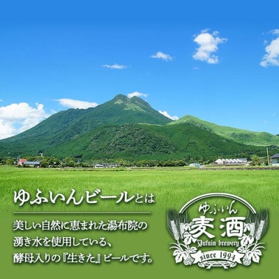 ゆふいんビール　スタウト(黒ビール)　330ml×20本