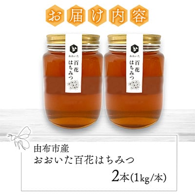 由布市産 「おおいた百花はちみつ」1kg×2本
