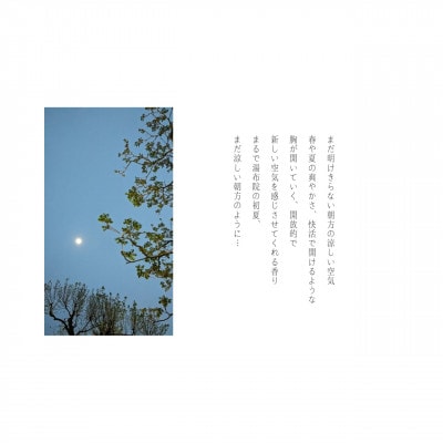 湯布院　MIKATA KO-HA(香葉)のリードディフューザーNo.04 蒼爽