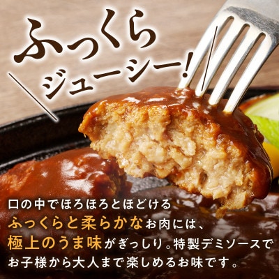 ちょっと贅沢おうちご飯《おおいた和牛100%使用》デミハンバーグ 個包装 10個(由布市)