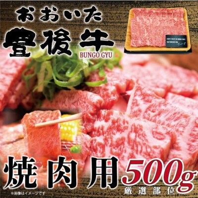 おおいた豊後牛焼肉用　500g(由布市)