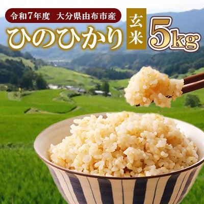 [令和7年度産]大分県由布市産ひのひかり玄米計5kg
