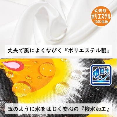 【のし付き】総手描き鯉のぼり「陽だまり」40cm 額入り鯉のぼり/端午の節句 出産祝い