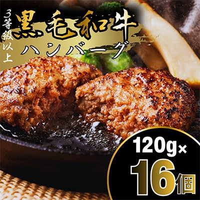 黒毛和牛ハンバーグ120g×16個セット　