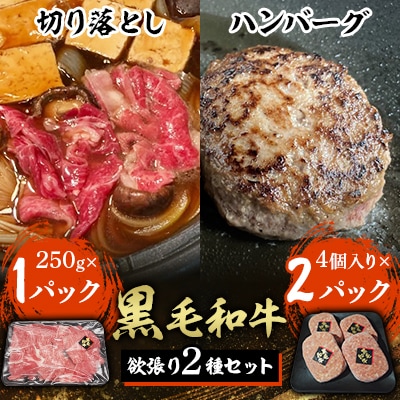黒毛和牛欲張り2種セット[切り落とし&ハンバーグ]