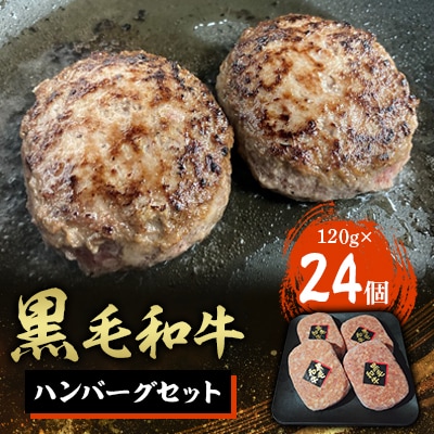 黒毛和牛ハンバーグ120g×24個セット