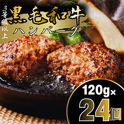 黒毛和牛ハンバーグ120g×24個セット