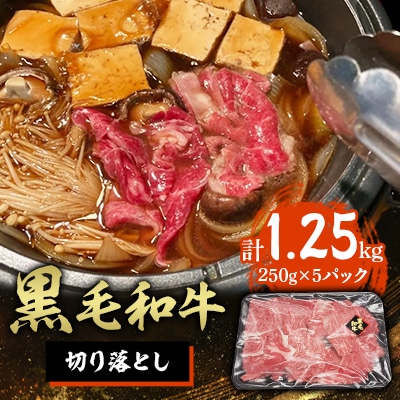 黒毛和牛切り落とし250g×5パック(合計1250g)