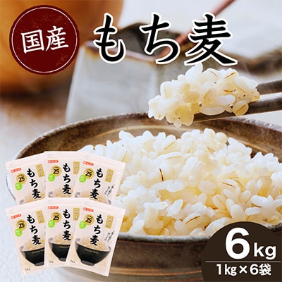 国産もち麦6kg《1kg×6個セット》雑穀 お米に混ぜて炊くだけ!便利なチャック付