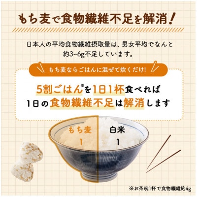 国産もち麦6kg《1kg×6個セット》雑穀 お米に混ぜて炊くだけ!便利なチャック付