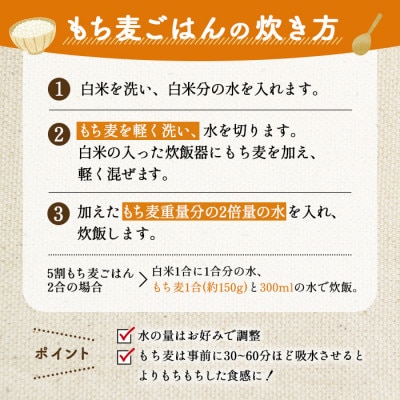 国産もち麦6kg《1kg×6個セット》雑穀 お米に混ぜて炊くだけ!便利なチャック付