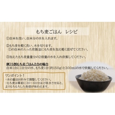 もち麦9.6kg《1.2kg×8個セット》