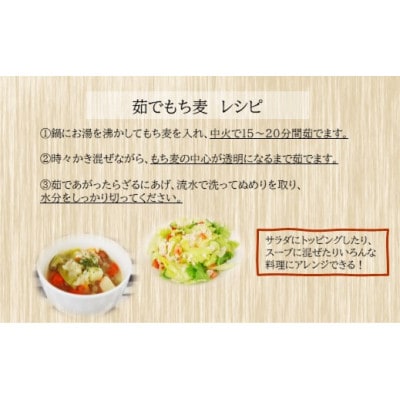 もち麦9.6kg《1.2kg×8個セット》