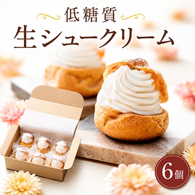 低糖質生シュークリーム(6個入り)