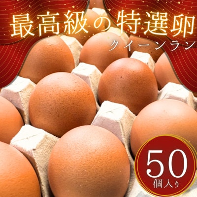 黄身がつかめる新鮮地たまご クイーンラン 赤玉 50個入