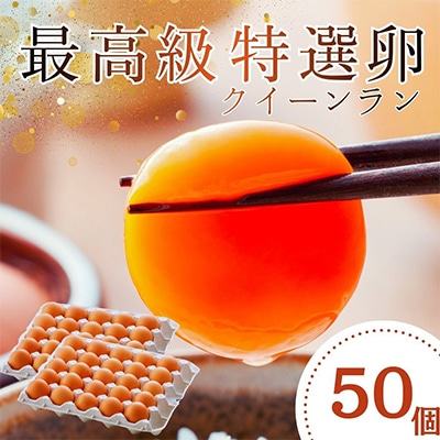 黄身がつかめる新鮮地たまご クイーンラン 赤玉 50個入