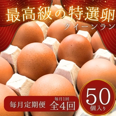 【毎月定期便】黄身がつかめる新鮮地たまご クイーンラン 赤玉 50個入り全4回