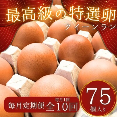 【毎月定期便】黄身がつかめる新鮮地たまご クイーンラン 赤玉 75個入り全10回