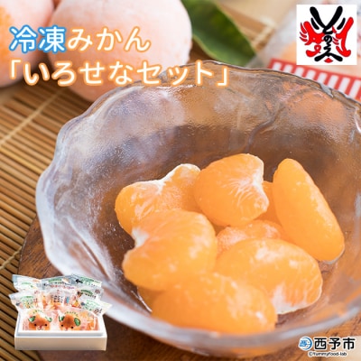 <冷凍みかん「いろせなセット」>　柑橘　フルーツ　果物　果実　食べ比べ　保存　