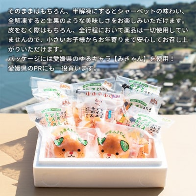 <冷凍みかん「いろせなセット」>　柑橘　フルーツ　果物　果実　食べ比べ　保存　