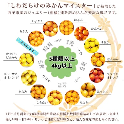 愛媛県明浜産ジュエリーボックス(柑橘編)4.0kg【1月配送】