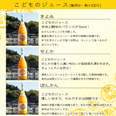 <ジュエリーボックス(ジュース編)厳選10本 数量限定>　柑橘　フルーツ　飲み比べ　果物