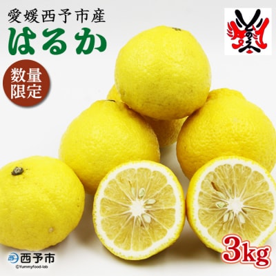 <愛媛県明浜産はるか(3kg)>　柑橘　特産品　果実　果物　フルーツ　西予市