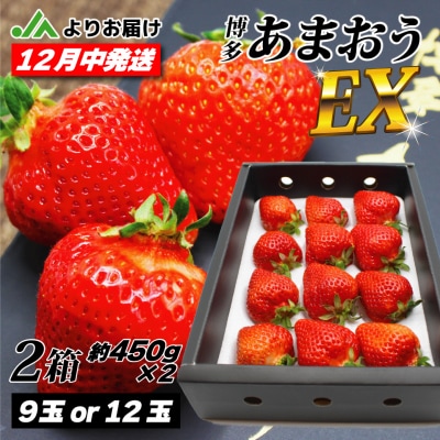 12月発送!「博多あまおう」EX　贈答用化粧箱　約450g 2箱【ほたるの里】_HA0755