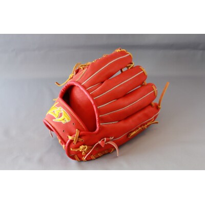 硬式セミオーダーグローブ(グラブ)(外野手用大きめ)【野球工房iプラス】:標準仕様　左投げ