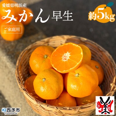 愛媛県明浜産みかん(5kg)早生