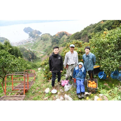 愛媛県明浜産みかん(5kg)早生