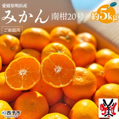 愛媛県明浜産みかん(5kg)