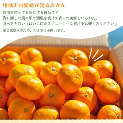 愛媛県明浜産みかん(5kg)