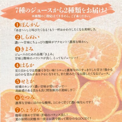 「柑橘王国セット」みかん×みかんジュース