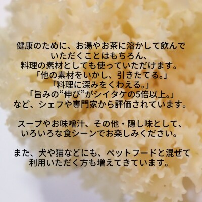 ハナビラタケパウダー 3袋セット ハナビラタケ キノコ きのこ 大和菌学研究所