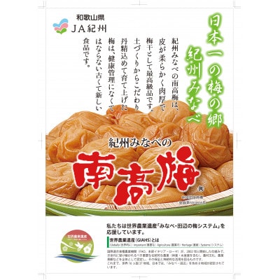 塩零梅　700g　M073