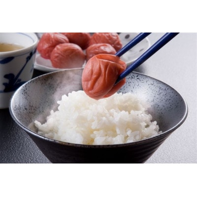 紀州　しそ漬梅　紀和の梅　1kg×4　M426