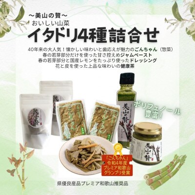 【ごんちゃん+美山の贅】イタドリ加工品4種詰合せセット　M182