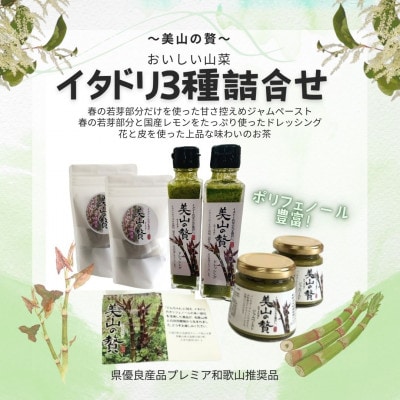【美山の贅】イタドリ加工品3種詰合せセット　M183