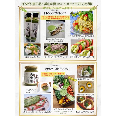 【美山の贅】イタドリ加工品3種詰合せセット　M183