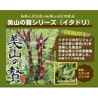 【美山の贅】イタドリのジャムとドレッシングのセット　M184