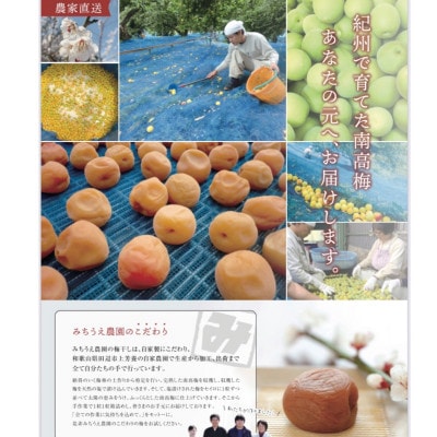 紀州南高梅(白干梅)1kg入　M061