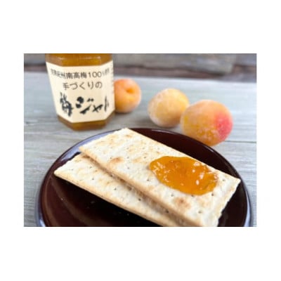 梅ジャム2本・ことこばあちゃんの田舎らっきょ500gセット　M330