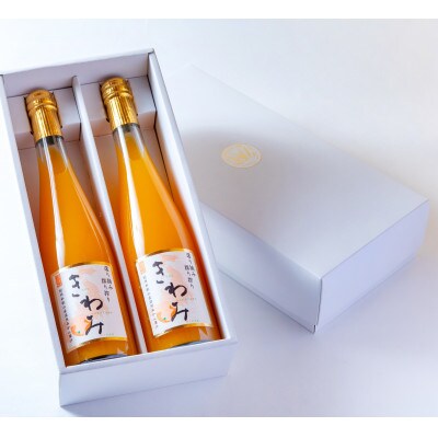 きわみみかんジュース 500ml×2本入りセット M093