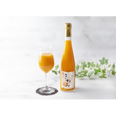 きわみみかんジュース 500ml×2本入りセット M093