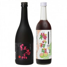梅のお酒とノンアルセット　M100