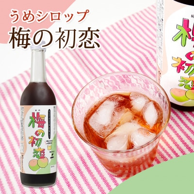梅のお酒とノンアルセット　M100