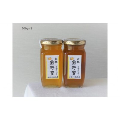 南紀熊野蜜500g×2　M463