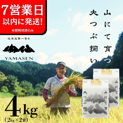【令和6年産米】すがたらいす 山仙 (いのちの壱) 2kg×2袋 (4kg)やません【51-18】